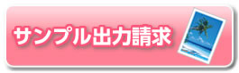 出力サンプル請求
